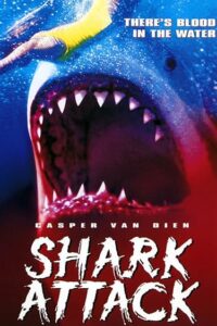 Shark Attack 1999