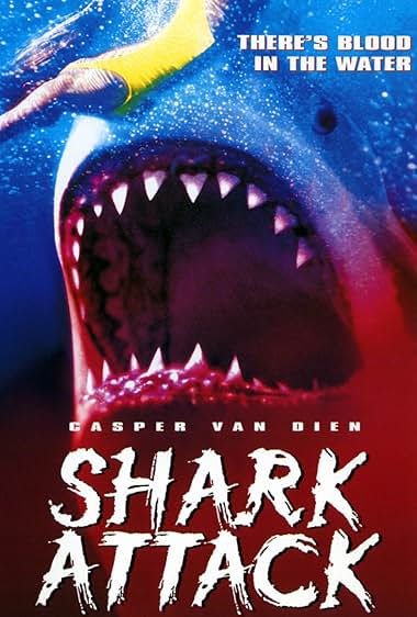 Shark Attack 1999
